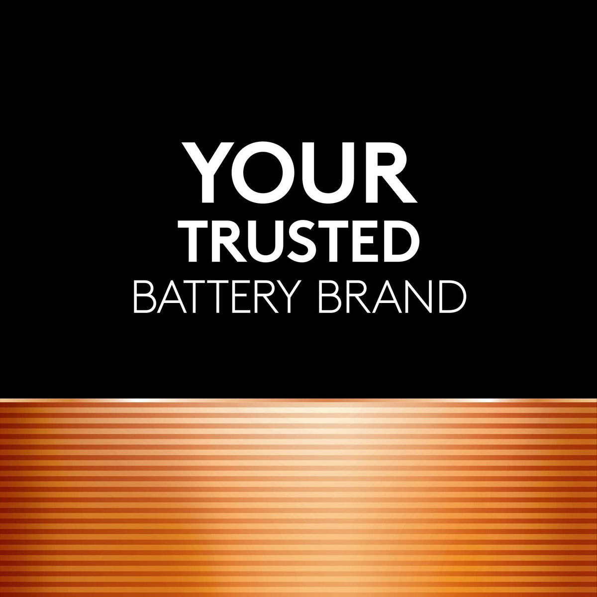 Coppertop 9V Alkaline Battery, All Purpose, 1-pk
