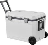 immersion cooler