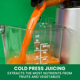 Omega Wide Mouth Cold Press Slow Juicer with Anti-Clog