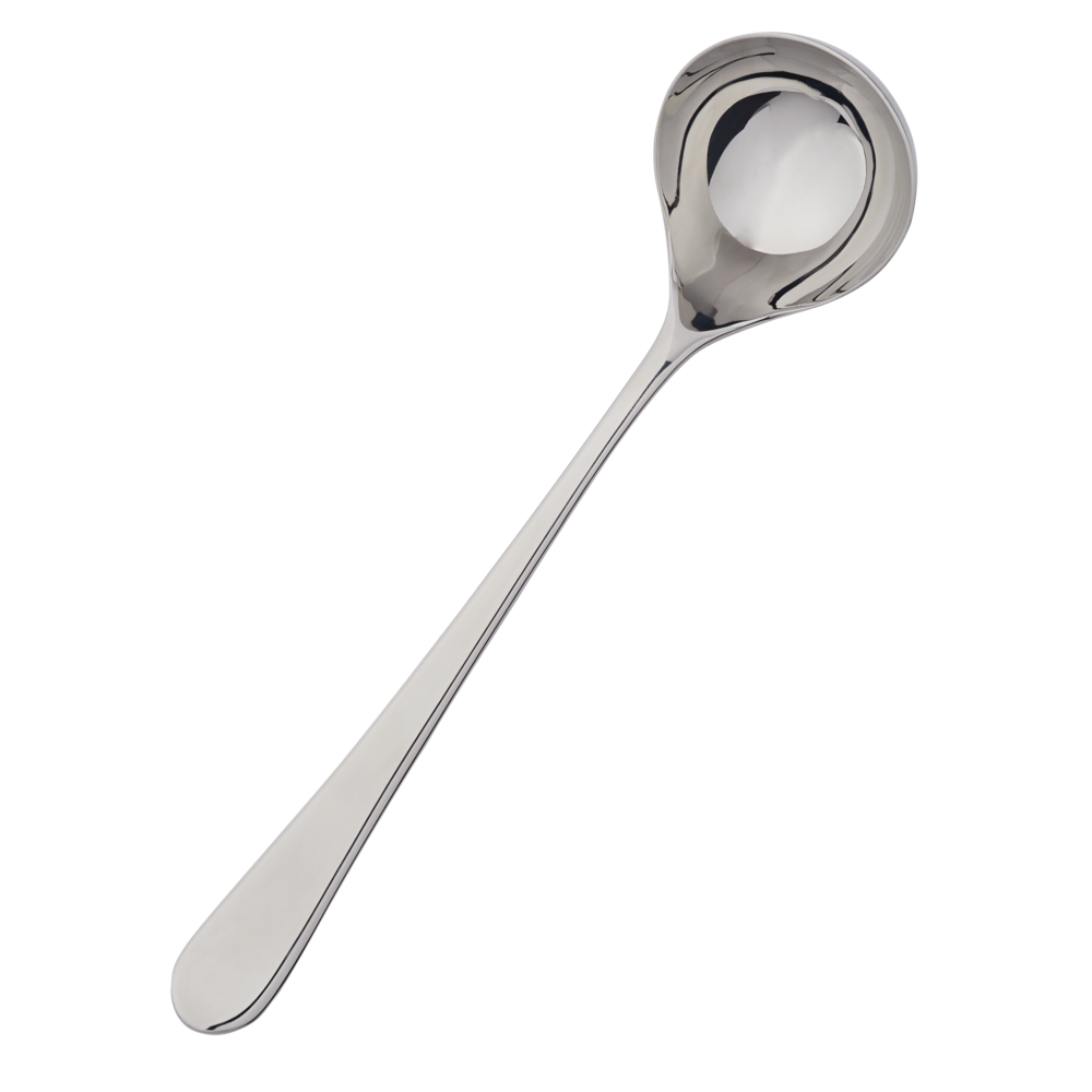 Stainless Steel Serving Ladle