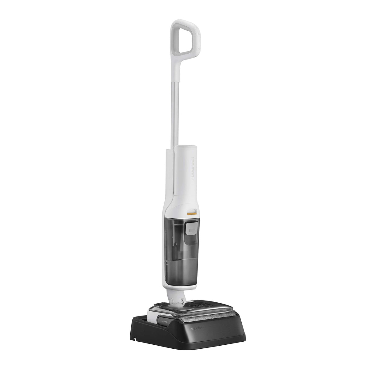Roborock F25 RT